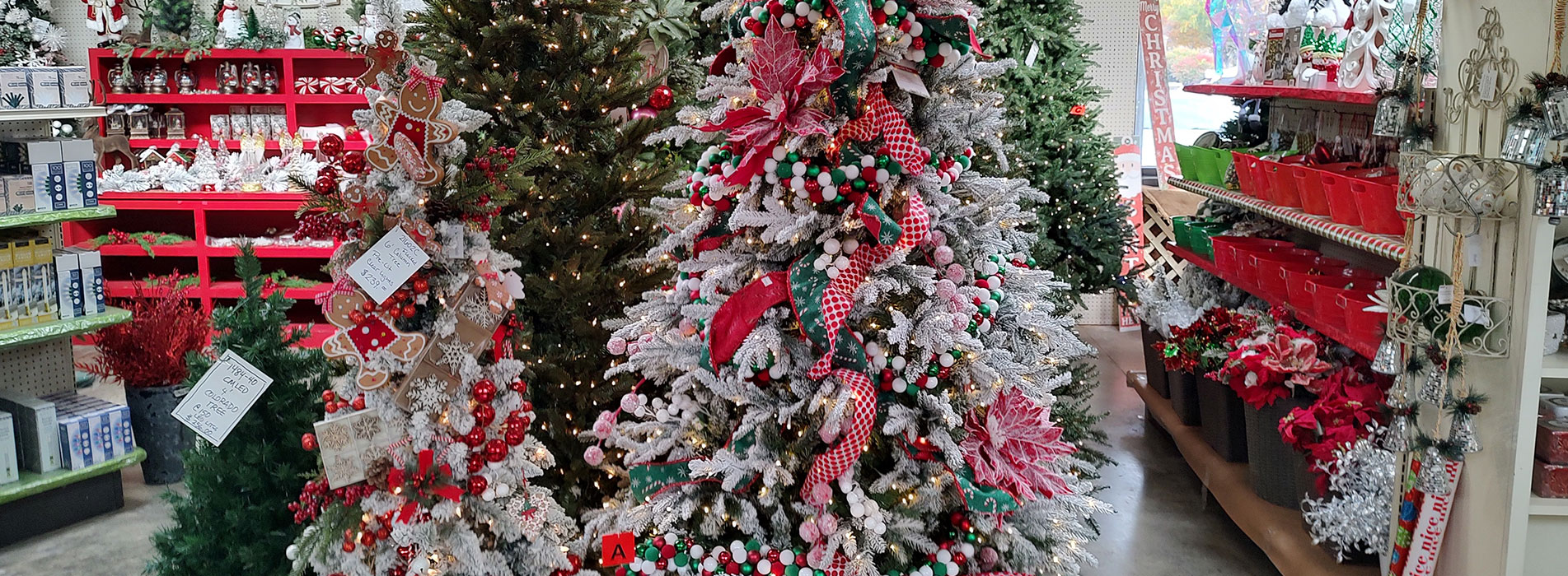 Christmas tree display